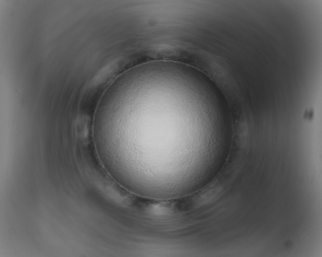 X0000110980232200906191411