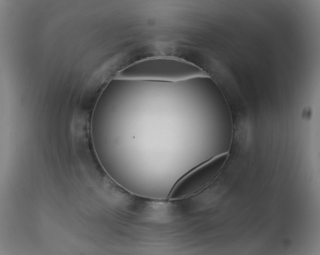 X0000110980233200906191411