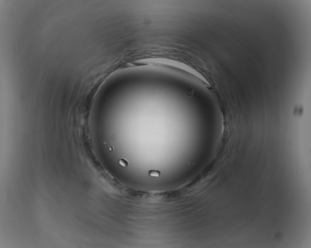 X0000110980235200906191411