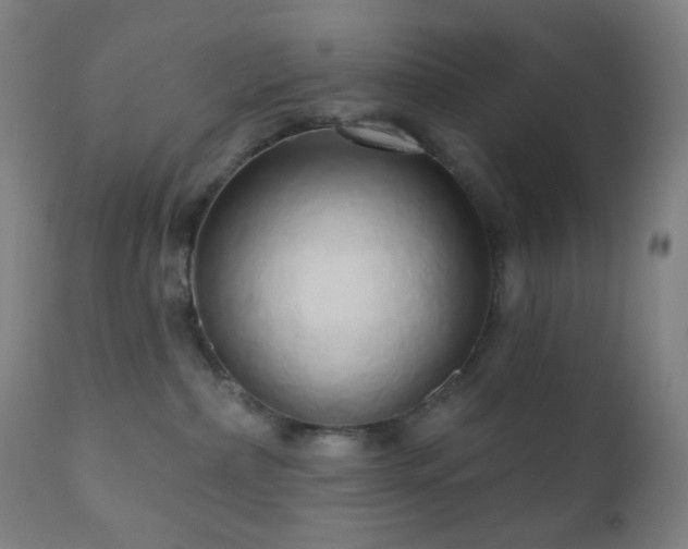 X0000110980236200906191411