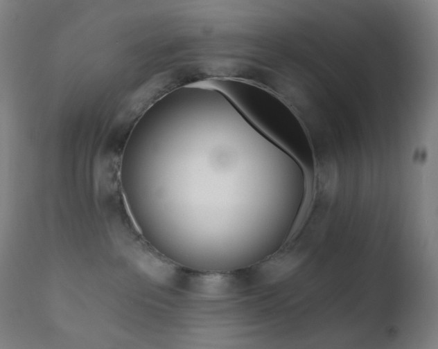 X0000110980237200906191411