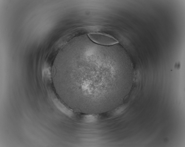 X0000110980238200906191411