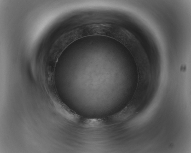 X0000110980239200906191411