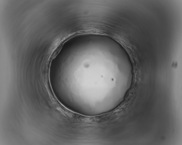 X0000110980241200906191410