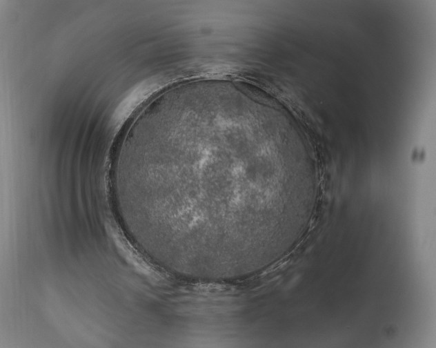 X0000110980242200906191410