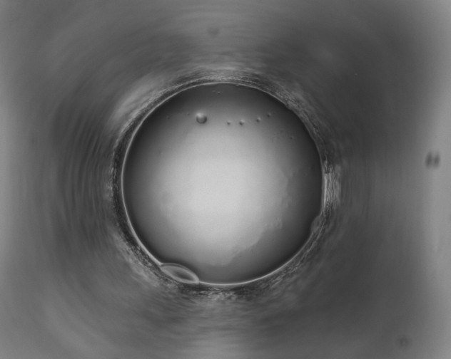 X0000110980243200906191410