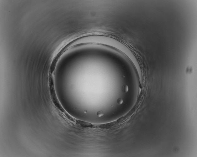 X0000110980244200906191410