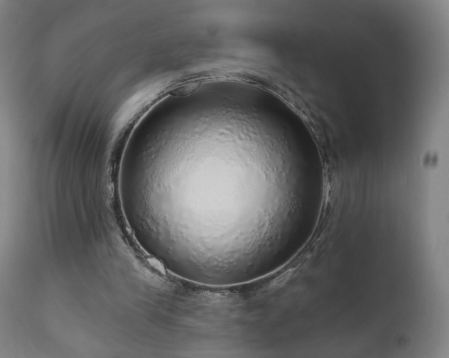 X0000110980245200906191410