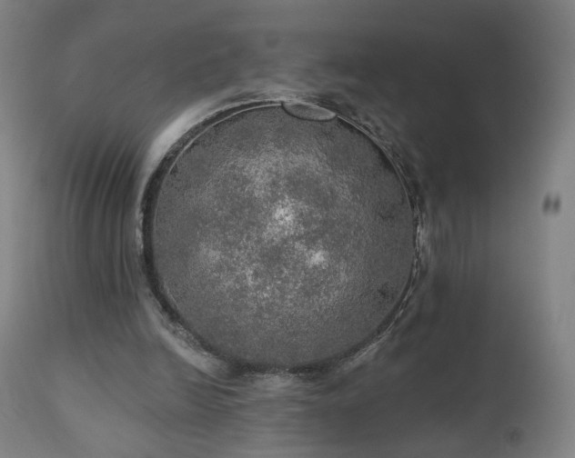 X0000110980246200906191410