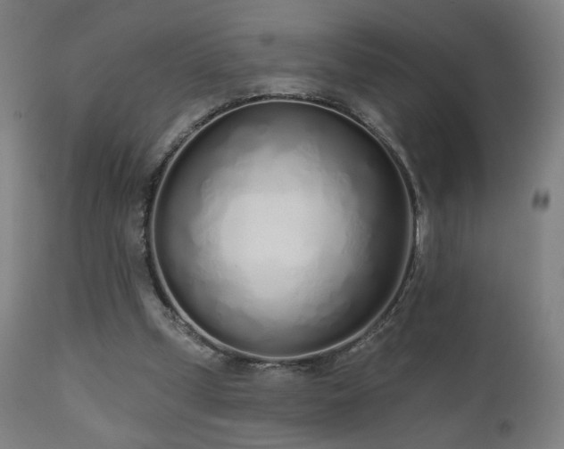 X0000110980249200906191411