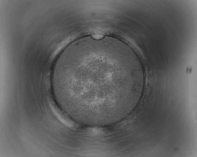 X0000110980250200906191411