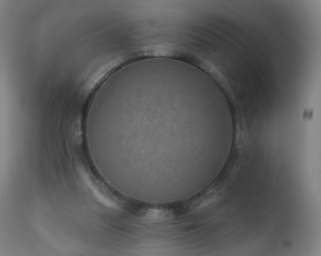 X0000110980251200906191411