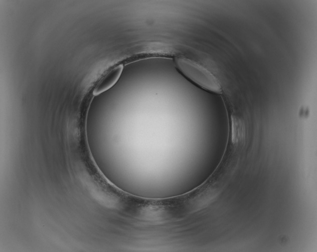 X0000110980252200906191411