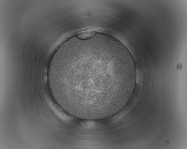 X0000110980253200906191411