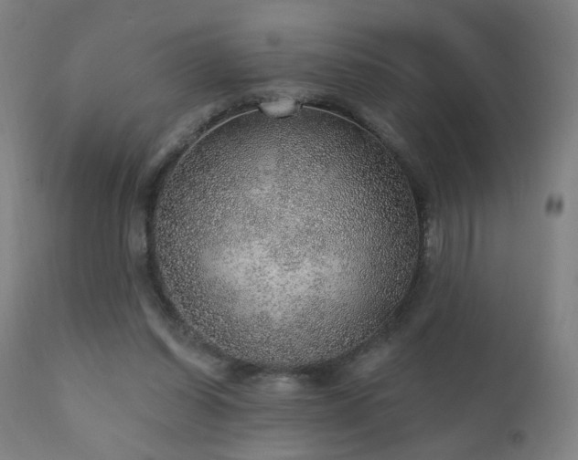 X0000110980254200906191411