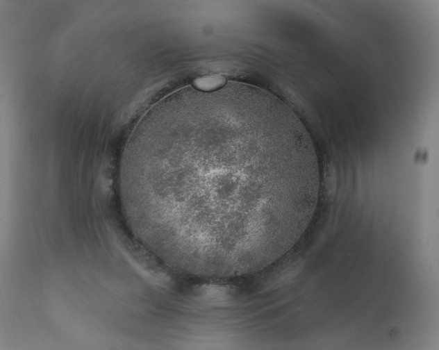 X0000110980255200906191411