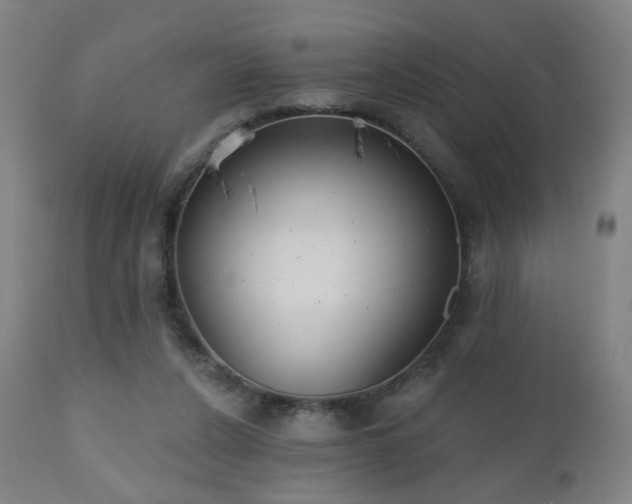 X0000110980256200906191411