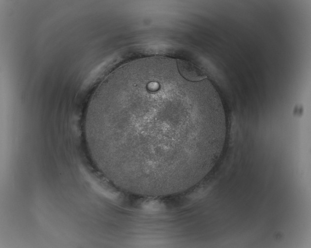 X0000110980258200906191411