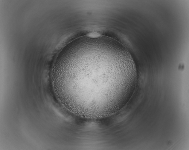 X0000110980259200906191411