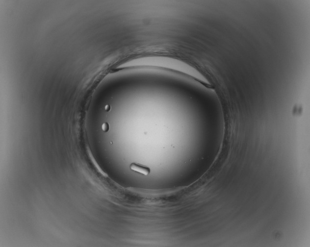 X0000110980260200906191411