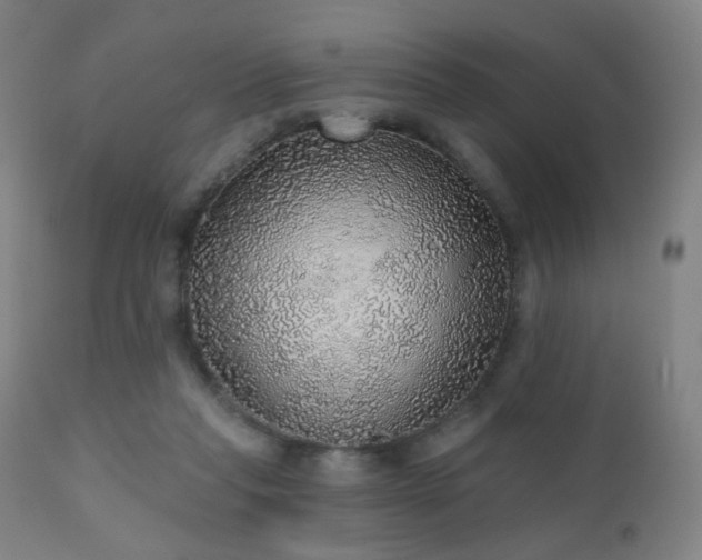 X0000110980261200906191411