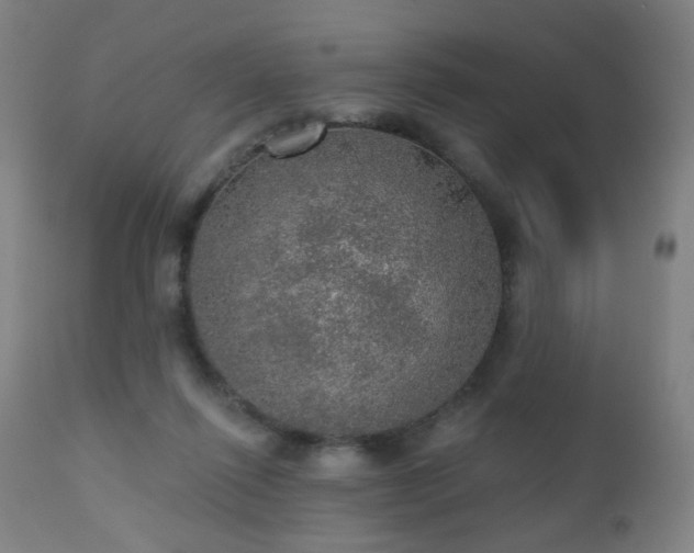 X0000110980262200906191411