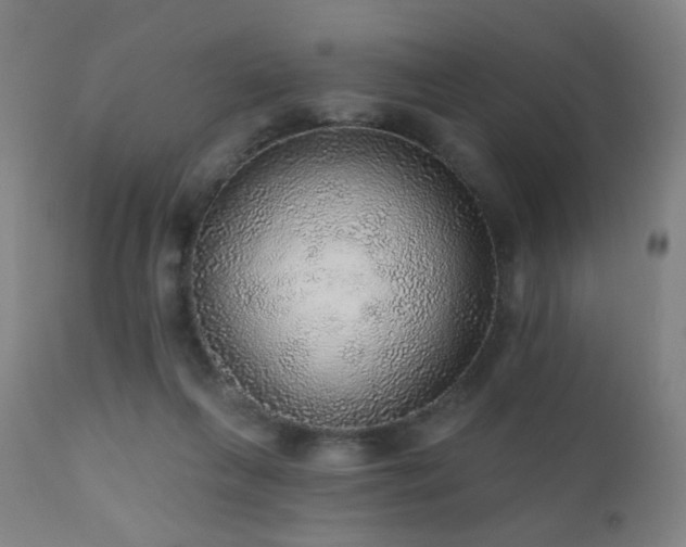 X0000110980263200906191411