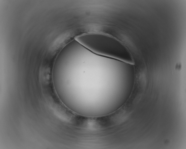 X0000110980264200906191411