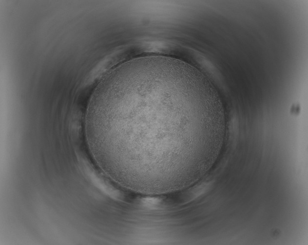 X0000110980265200906191411