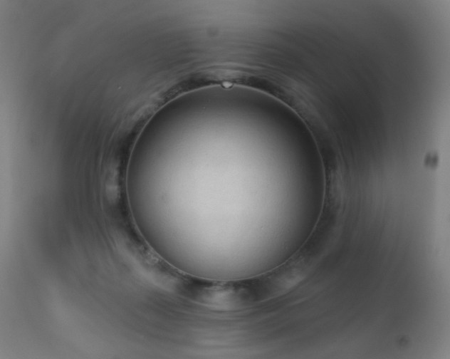 X0000110980267200906191411