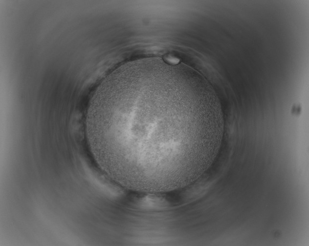 X0000110980270200906191411