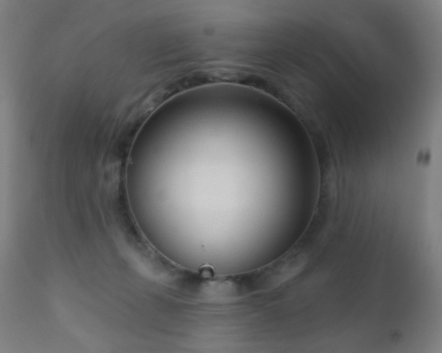 X0000110980271200906191411