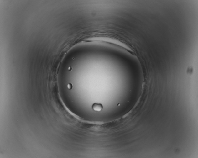 X0000110980272200906191411