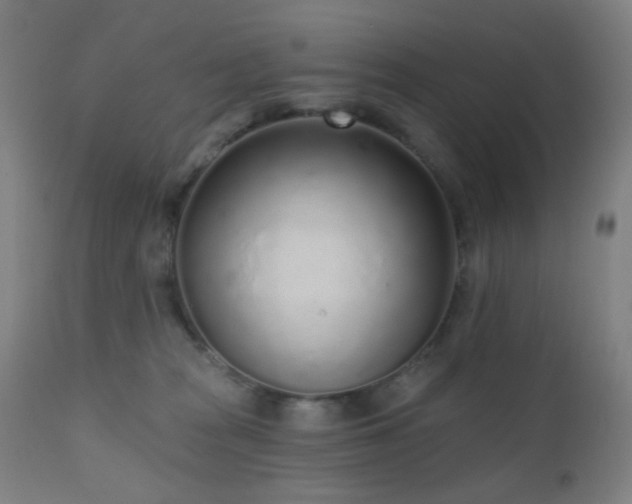 X0000110980277200906191411