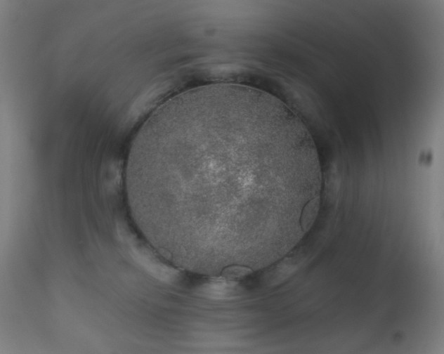 X0000110980278200906191411