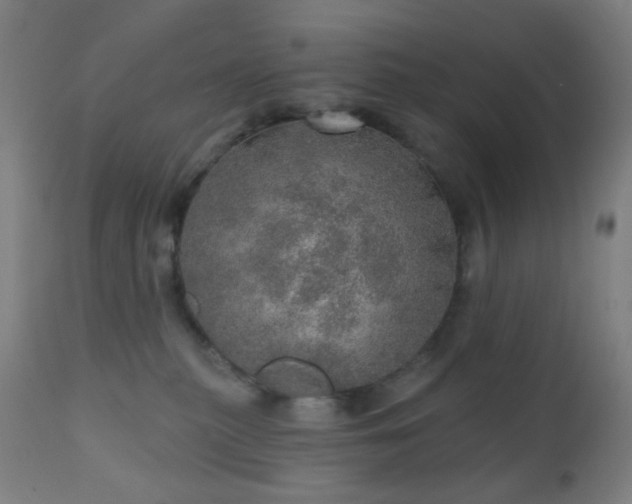 X0000110980279200906191411