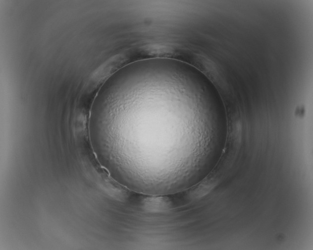 X0000110980281200906191411