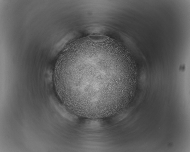 X0000110980282200906191411