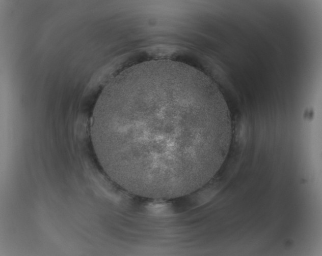 X0000110980283200906191411