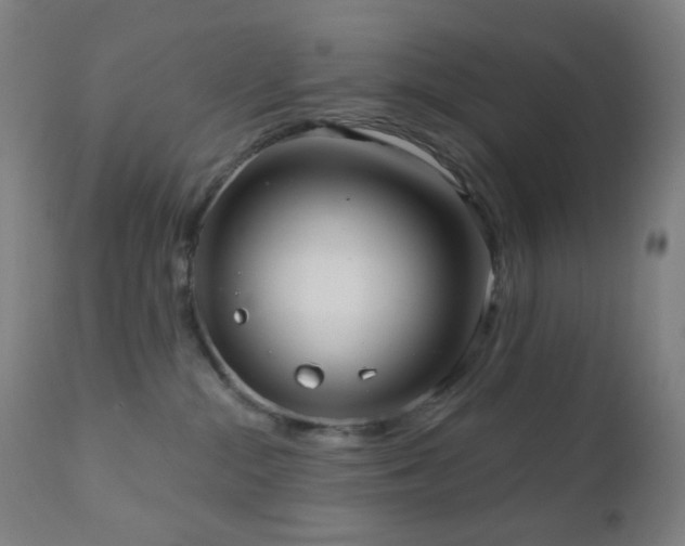 X0000110980284200906191411