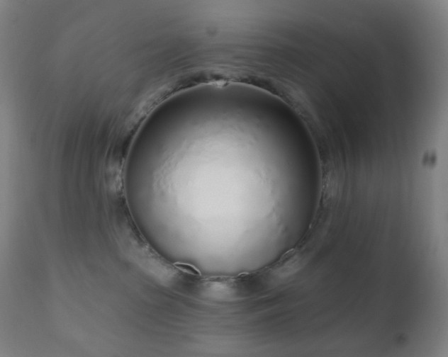 X0000110980285200906191411