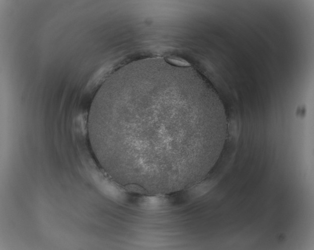 X0000110980286200906191411