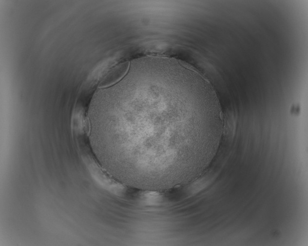 X0000110980287200906191411