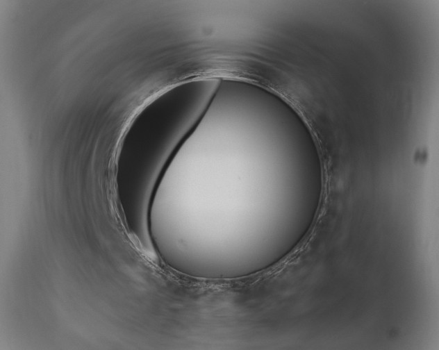 X0000110980289200906191410