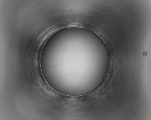 X0000110980290200906191410