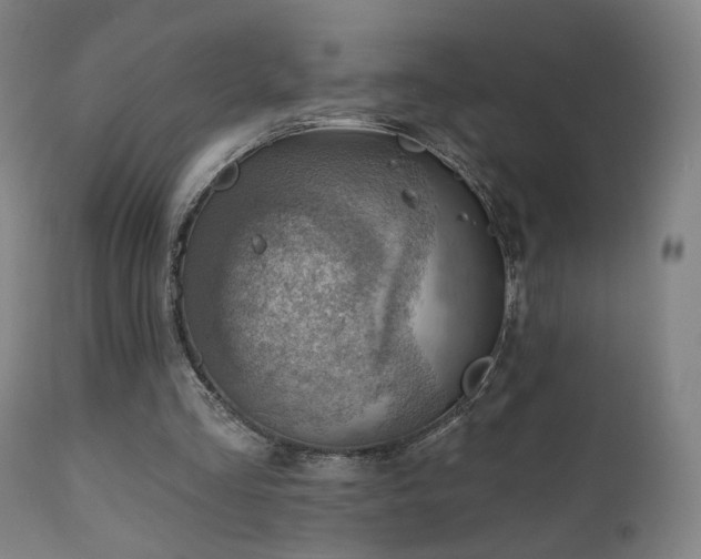 X0000110980293200906191410