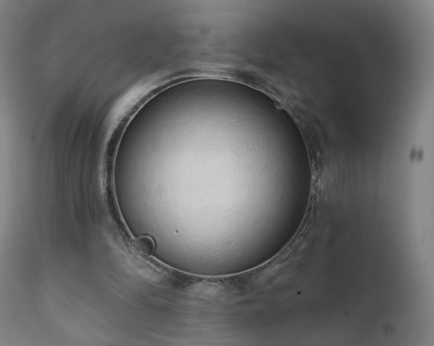 X0000110980294200906191410