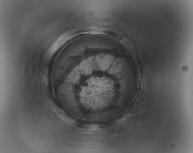 X0000110980295200906191410