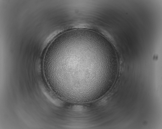 X0000110980298200906191410