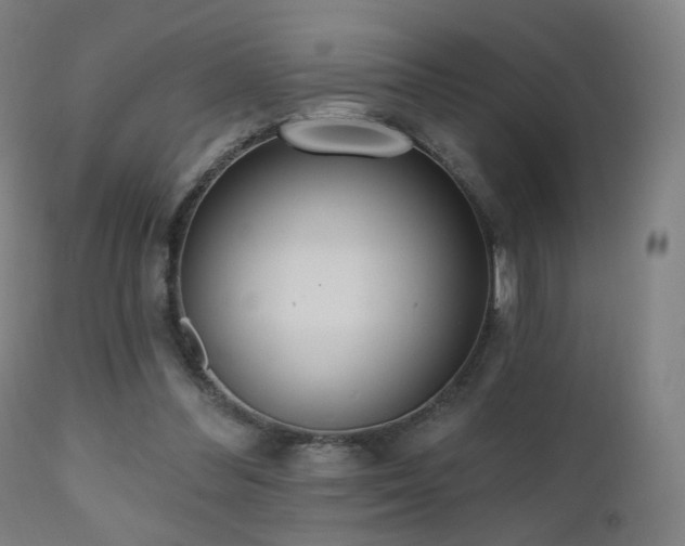 X0000110980300200906191410